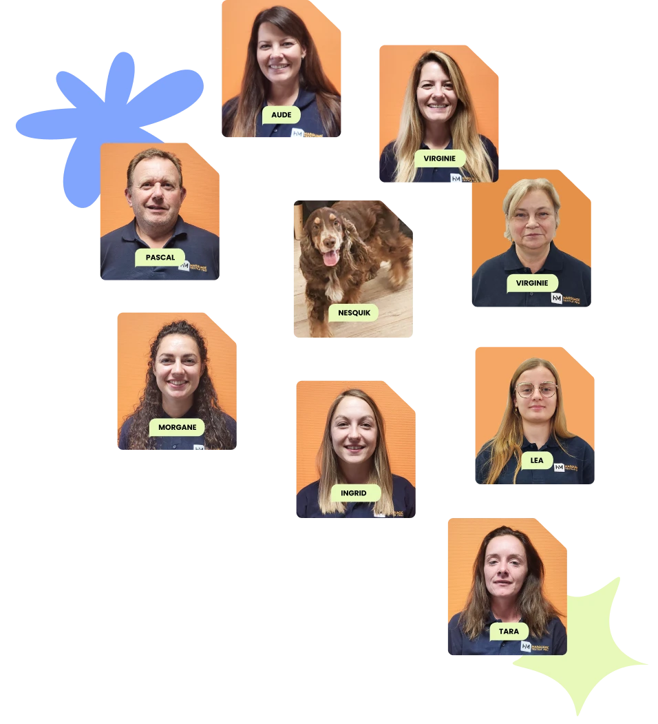 Trombinoscope de l'équipe HM Marquage : Aude, Virginie, Pascal, Morgane, Ingrid, Léa, Tara et Nesquik la mascotte
